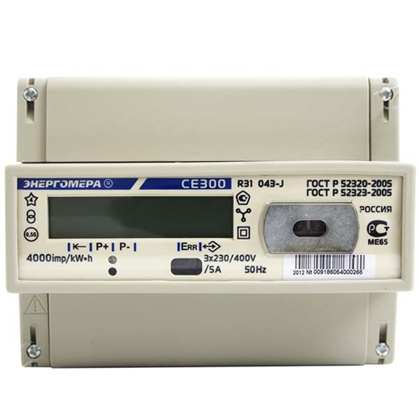 CE300-R31